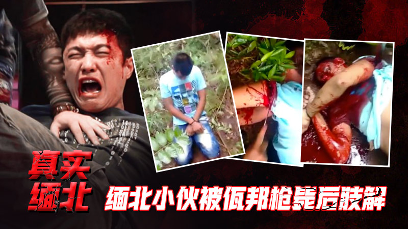 【真实缅北】缅北小伙被佤邦枪毙后肢解