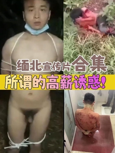 缅北宣传片合集  所谓的高新诱惑