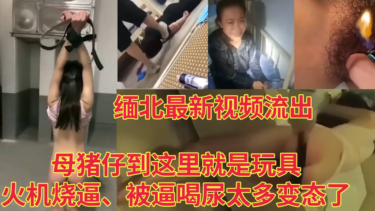 【缅北最新视频流出】母猪仔到这里就是玩具，火机烧逼，被逼喝尿太多变态了！