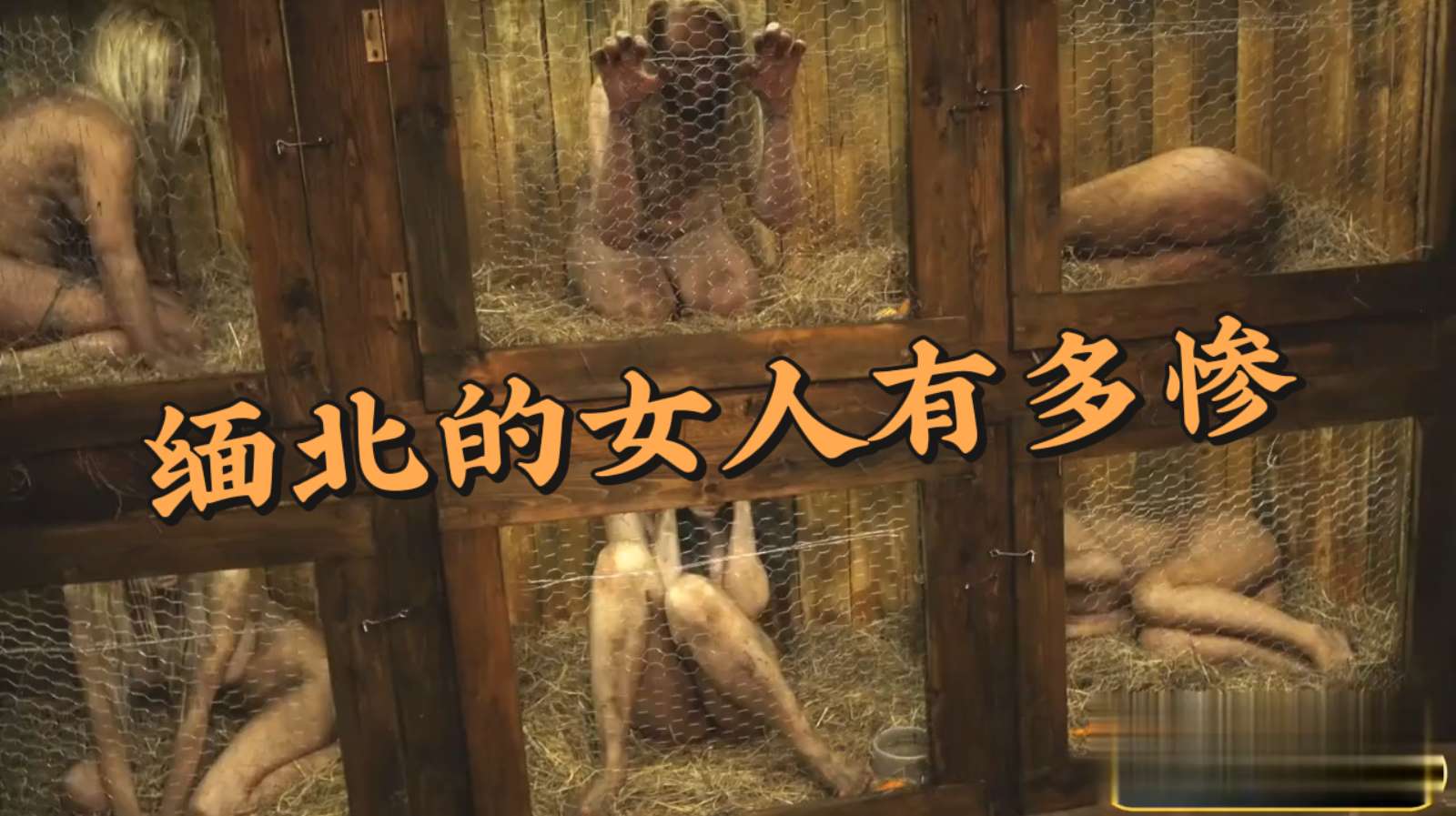 被关在缅北的女人们真惨！