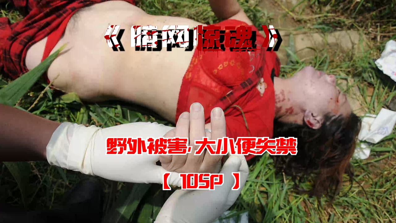 野外被害，大小便失禁【105P】