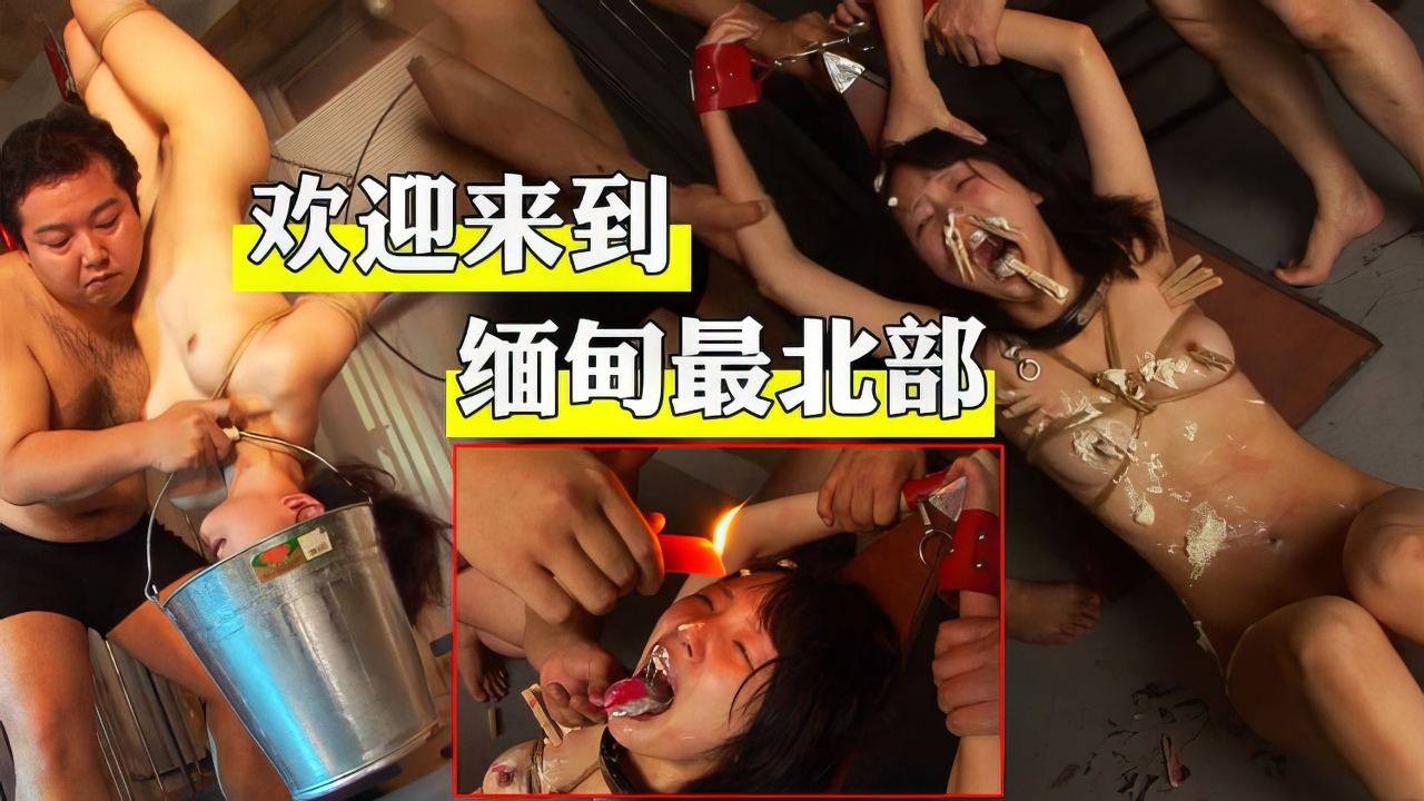 被爆打的猪仔在国内始张跋座，这回真是可惜了