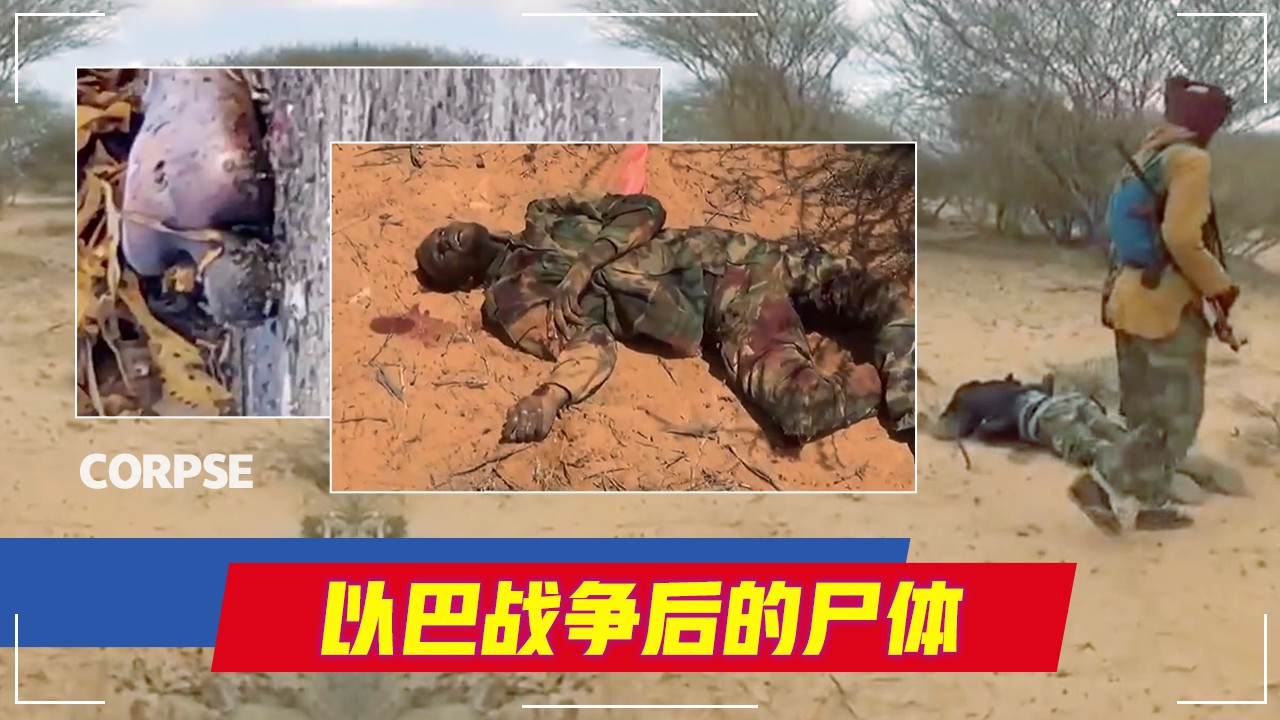 以巴战争后遍地的尸体还没有人收尸
